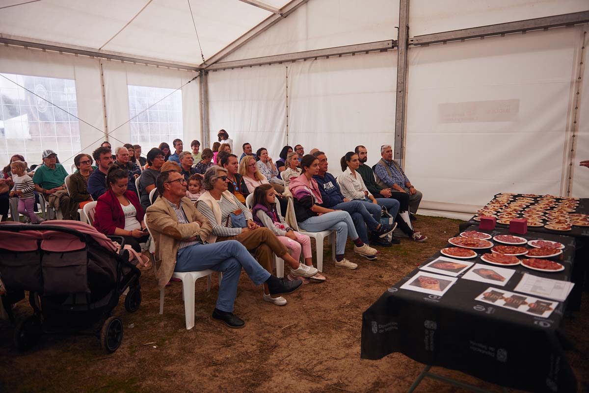 Conferencias